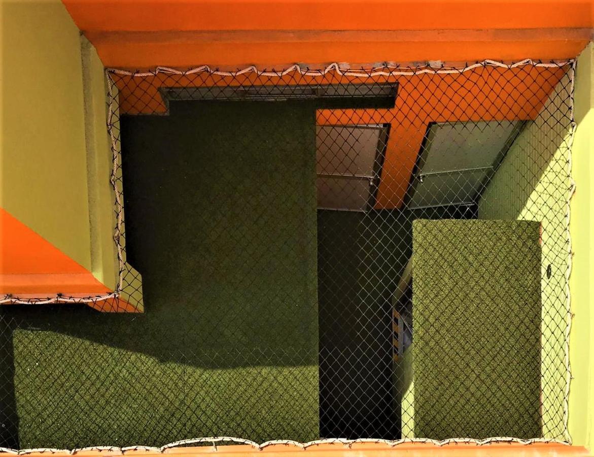 Happy Tree Hostel Peru Лима Екстериор снимка